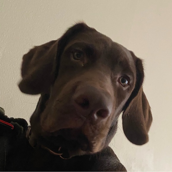 kooper8282